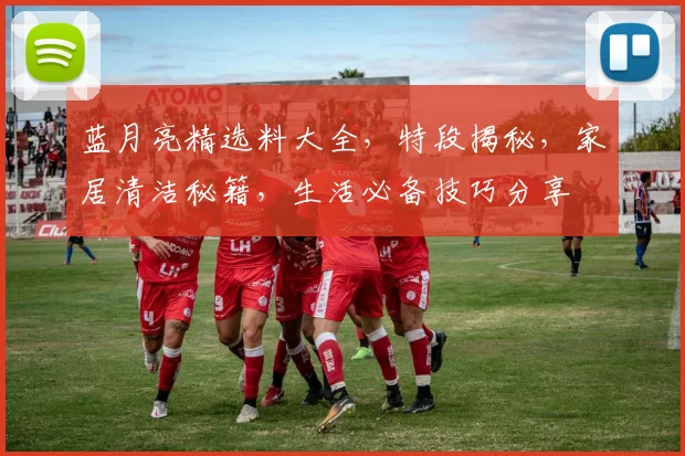 蓝月亮精选料大全，特段揭秘，家居清洁秘籍，生活必备技巧分享