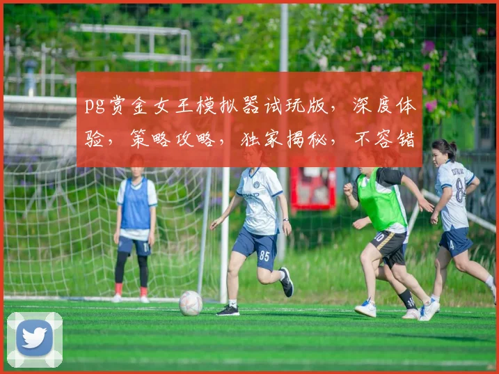 pg赏金女王模拟器试玩版，深度体验，策略攻略，独家揭秘，不容错过