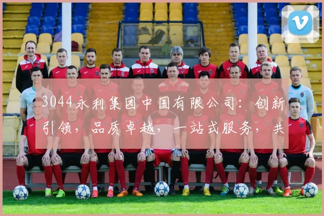 3044永利集团中国有限公司：创新引领，品质卓越，一站式服务，共筑美好未来