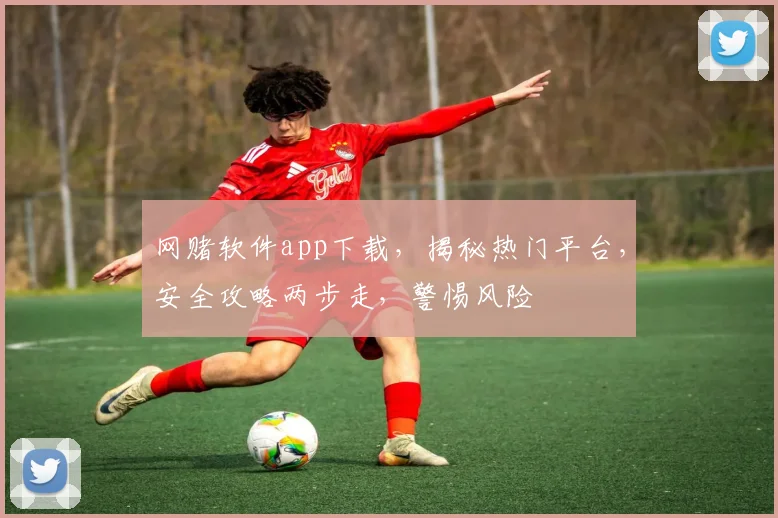 网赌软件app下载，揭秘热门平台，安全攻略两步走，警惕风险